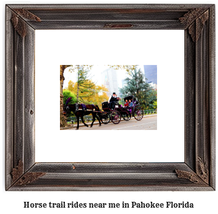 horse trail rides near me in Pahokee, Florida